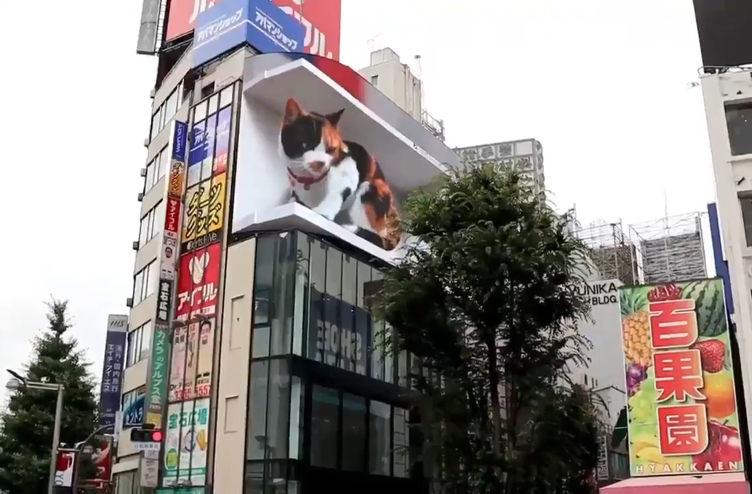 Огромный 3D-кот появился на торговом центре в Токио